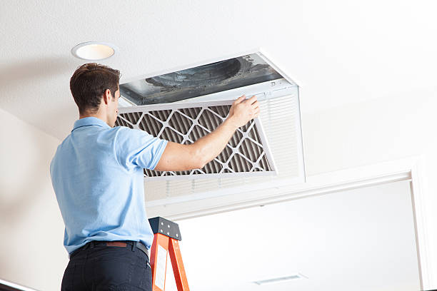Best Air quality test  in Rogersville, MO